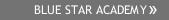 BLUE STAR ACADEMY